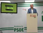 PSOE-A asegura que la moción de censura de Podemos "es sólo teatro para interferir en las primarias" socialistas