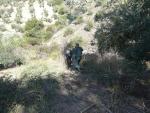 La Guardia Civil localiza los cadáveres envenenados de un zorro y un gato montés en Jaén