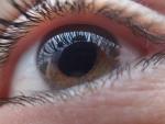 Investigadores del CIBIR desarrollan un sistema para reducir el daño en lesiones oculares con hipotermia
