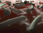Un estudio revela el impacto de los antibióticos y otros factores en el microbioma intestinal infantil
