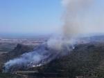 Medios aéreos y terrestres trabajan en la extinción de un incendio forestal en Sagunto
