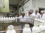 Cantabria tiene 59 industrias lácteas que suman 1.826 puestos de trabajo