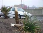 El temporal de viento en Cádiz provoca numerosas incidencias en la provincia