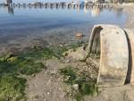 Pacto por el Mar Menor reclama que se ponga fin a las "intervenciones descontroladas que dañan a la laguna"