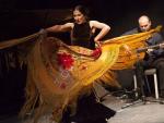La Fundación SGAE lleva su programa de institucionalización del flamenco a Nueva York, Miami y Chicago