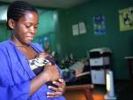 Bangladesh, Etiopía, India, Malawi o Uganda se comprometen a reducir a la mitad las muertes maternas y neonatales