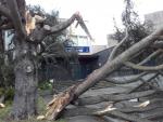 Desprendimientos de tejados o la caída de una torreta, principales incidencias por el mal tiempo en Galicia
