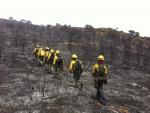 Junta da por controlado el fuego de Belmontejo, que ha afectado a 200 hectáreas de superficie agrícola