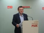 Heredia (PSOE-A) señala que De la Torre no cuenta con apoyos de su partido para avanzar en proyectos de Málaga