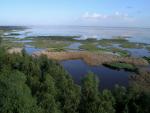 WWF aboga por mayor coordinación institucional y más caudales de agua dulce para recuperar el estuario del Guadalquivir
