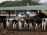 UPA relaciona los contratos lácteos con el cierre de más de 80 explotaciones al mes
