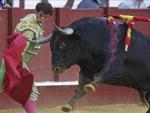 Barrera corta una oreja en Málaga pero pierde un triunfo mayor con los aceros