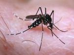 Los anticuerpos contra el dengue pueden alterar el curso de la infección por el virus Zika