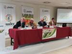 Agricultura destaca la importancia "social" del espárrago, un cultivo en expansión en Andalucía