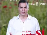 El PSOE sustituye la tradicional pegada de carteles por un vídeo en las redes sociales
