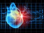 Una potencial terapia podría reducir la peligrosa inflamación tras un ataque al corazón