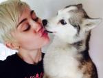 El mundo consternado por la muerte de Floyd, el perro de Miley Cyrus