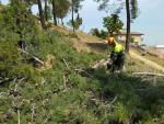 La Diputación de Barcelona aporta 1,65 millones de euros para prevenir incendios forestales