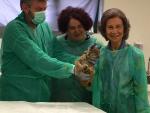 La Reina Doña Sofía visita el centro de cría en cautividad de lince ibérico en Zarza de Granadilla (Cáceres)