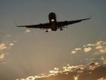 España promoverá ante la UE que los asistentes de personas con movilidad reducida viajen gratis en avión