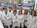Investigadores del CIMA de la UN hallan un gen crítico en el desarrollo de cáncer de pulmón y de páncreas