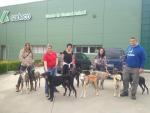 La Asociación Galgos del Sur rescata a once galgos de la perrera