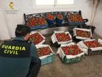 La Guardia Civil pone en marcha un dispositivo especial para evitar el robo de fresas durante la campaña