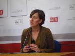 PSOE C-LM aclara que la enmienda sobre la Universidad responde a criterios de estabilidad presupuestaria