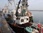 Declarada la veda temporal para la pesca de arrastre de fondo en aguas interiores de la Región