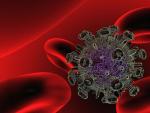 Investigadores del CSIC descubren que las bacterias del intestino influyen en la recuperación de las personas con VIH