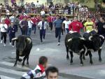 Un toro muere al chocar con otro y enzarzarse en una pelea en el encierro de Leganés