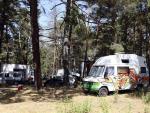 Dos millares de personas acampan ilegalmente en Pinar Grande, en Soria