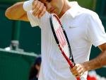 Federer se despide de Wimbledon en los cuartos de final