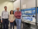 Investigadores españoles diseñan un nuevo implante para la regeneración del cartílago articular