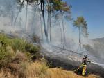 Ningún incendio activo de más de 20 hectáreas en Galicia
