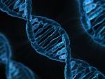 Investigadores descubren las primeras mutaciones en la vida humana