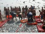 Oceana califica de "histórico" la declaración 'Malta MedFish4Ever' de países del mediterráneo para mejorar la pesca