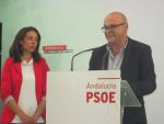 El PSOE cifra el déficit municipal en 2015 en 60,5 millones y eleva la deuda a 700 millones