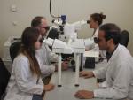 Hospital Santa Lucía lidera un proyecto para analizar la capacidad antitumoral de nuevos fármacos con respaldo europeo