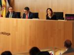 La "precariedad" en el Consorcio de Bomberos y el centro Guadalmedina protagonizarán el pleno de la Diputación