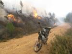 Diez detenidos o investigados en CyL en lo que va de año por provocar incendios forestales
