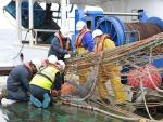 El IEO estudiará la distribución y abundancia de sardina en Galicia y el golfo de Vizcaya