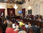 El Pleno de Málaga aprueba mejorar accesibilidad y caminos escolares seguros en el colegio La Biznaga