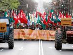 Miles de personas marchan junto a los sindicatos vascos contra las reformas