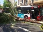 Diez heridos al chocar un autobús de la línea 9 contra una palmera en Calderón de la Barca