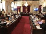 El Pleno reitera su rechazo unánime a que Málaga albergue un centro de internamiento de extranjeros