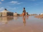 ACNUR cifra en 25.000 los refugiados saharauis damnificados por las inundaciones