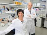Investigadores de la UPO buscan dianas moleculares para combatir la esterilidad asociada a la diabetes