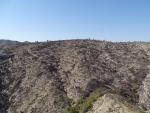 Los efectivos del Plan Infomur culminan la extinción del incendio de sierra Larga en Jumilla