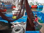 La UE, dividida sobre la reforma pesquera ante la crisis de los caladeros